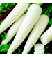 Radish IVTMP-02 250 grams